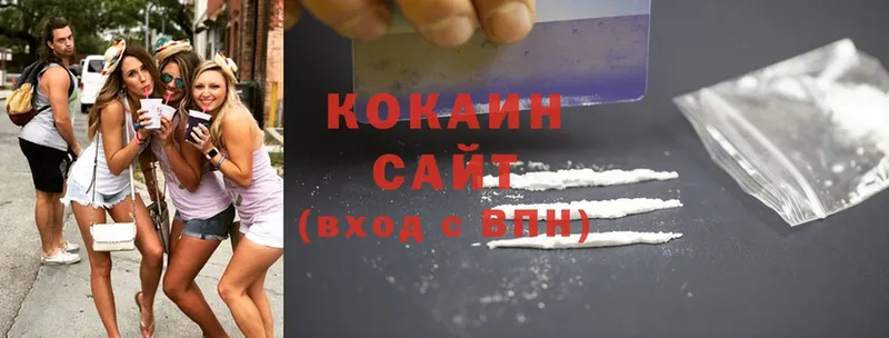 Cocaine FishScale  купить наркотик  Выкса 